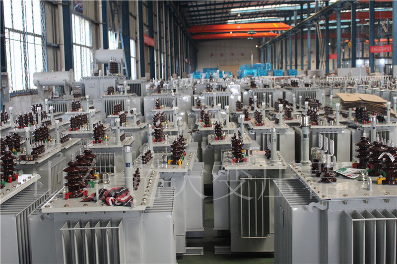 镇平S22-800KVA/10KV